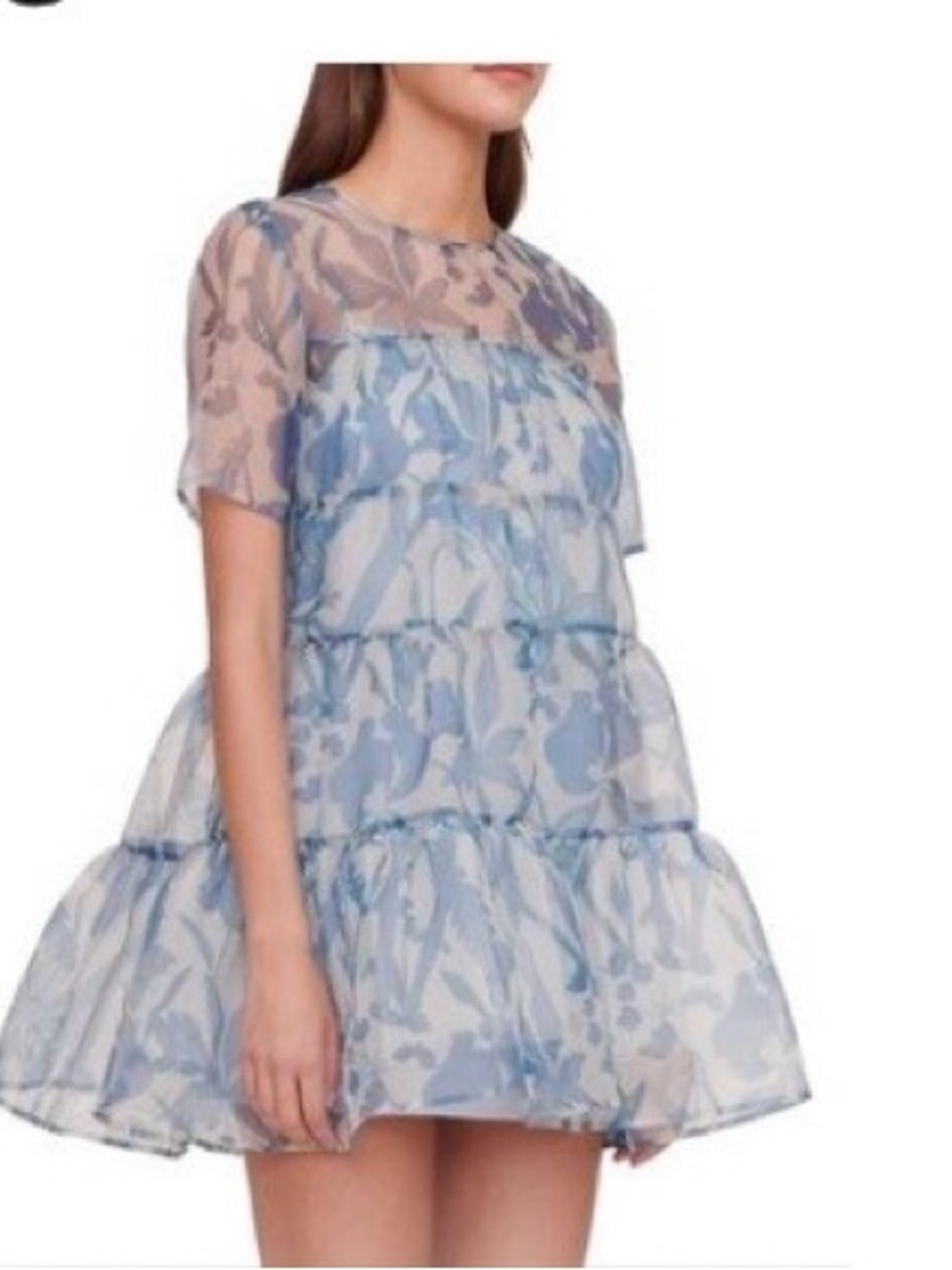 Staud Sheer Mini Dress with liner